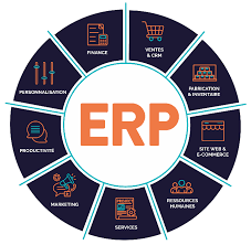 ERP implementation and customization